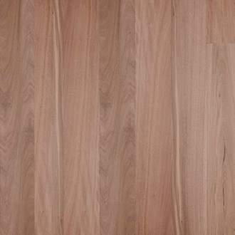 Solid Timber Flooring - Brushbox Std& Better 80x14mm